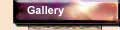gallery and tour