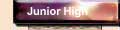 junior high