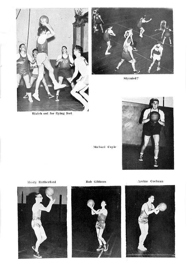 p61